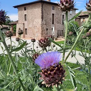 Vakantieboerderij Corte Davini, Monzambano