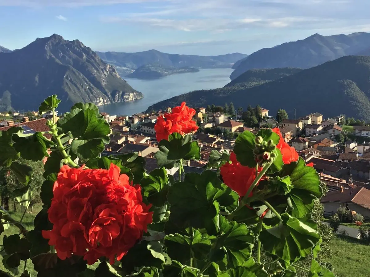 Home Iseo Lake Боссико